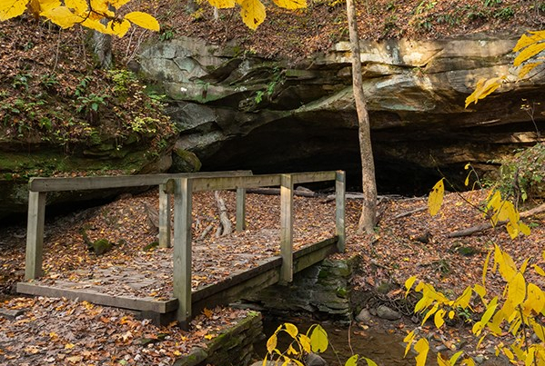 nature hike